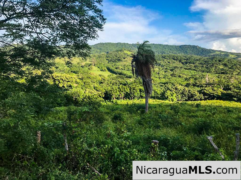 Miravalle Farm for Sale 7km From Town 8 or 18 Manzanas - Image 3