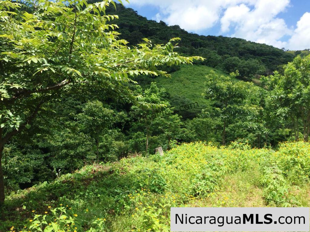 Off Grid Tranquil Paradise Only 20 Minutes North of San Juan del Sur - Image 8