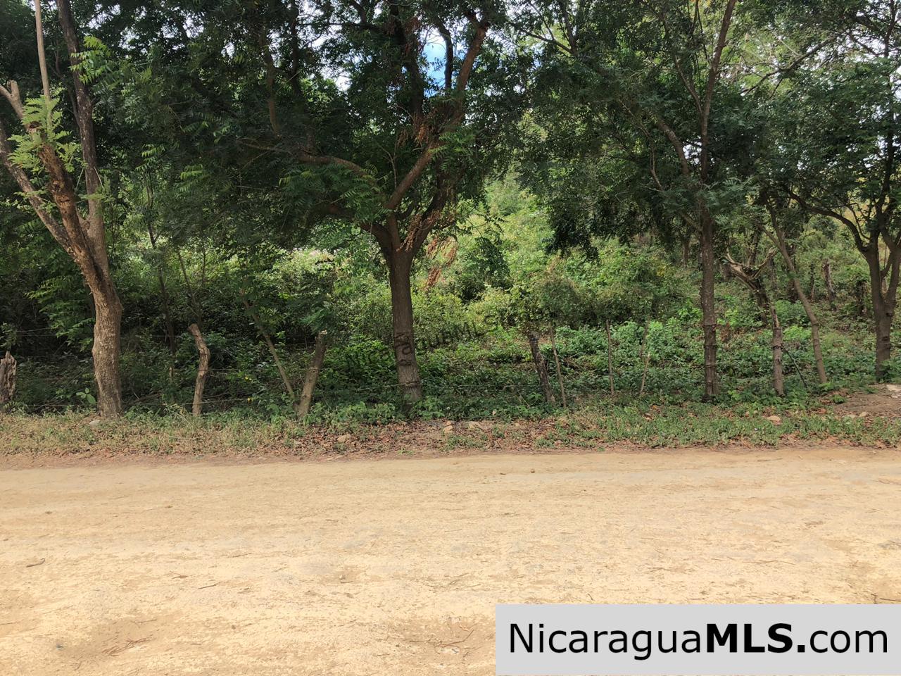 Playa Maderas Bargain 3.1 Acre Property - Image 4