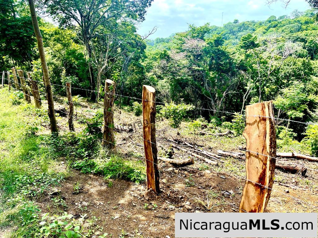 Beautiful lot within walking distance of Playa Maderas - Image 4