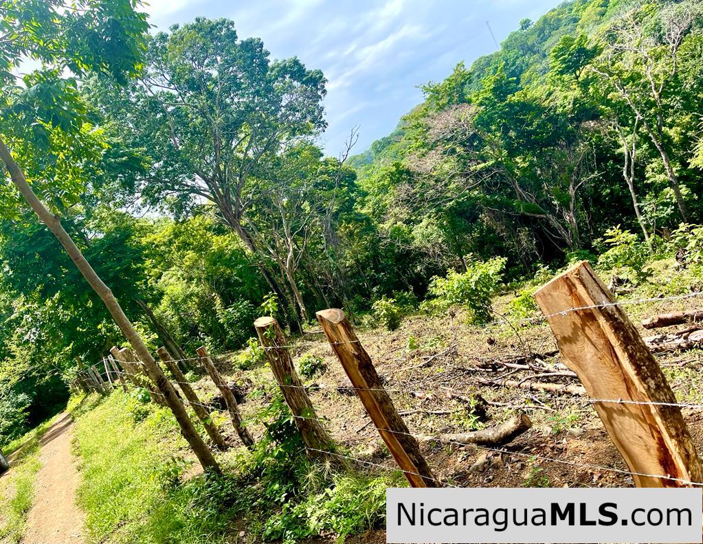 Beautiful lot within walking distance of Playa Maderas - Image 14