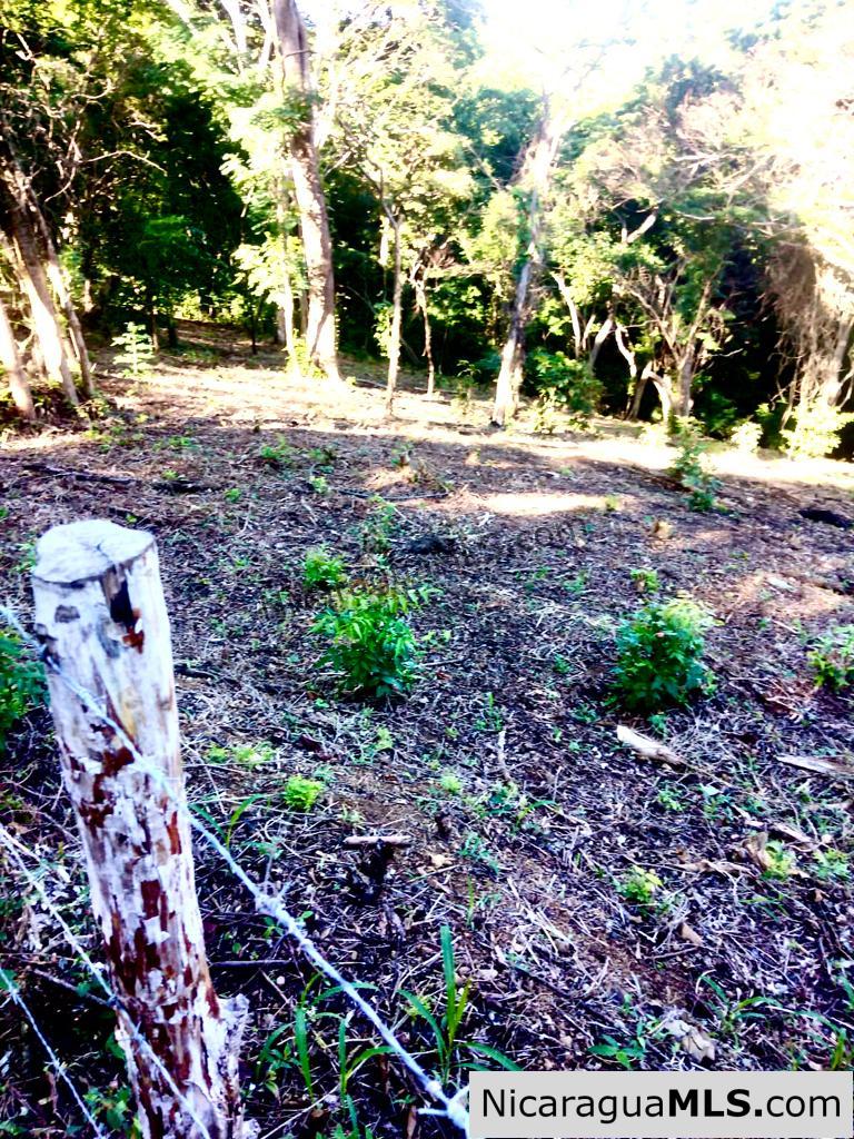 Beautiful lot within walking distance of Playa Maderas - Image 19