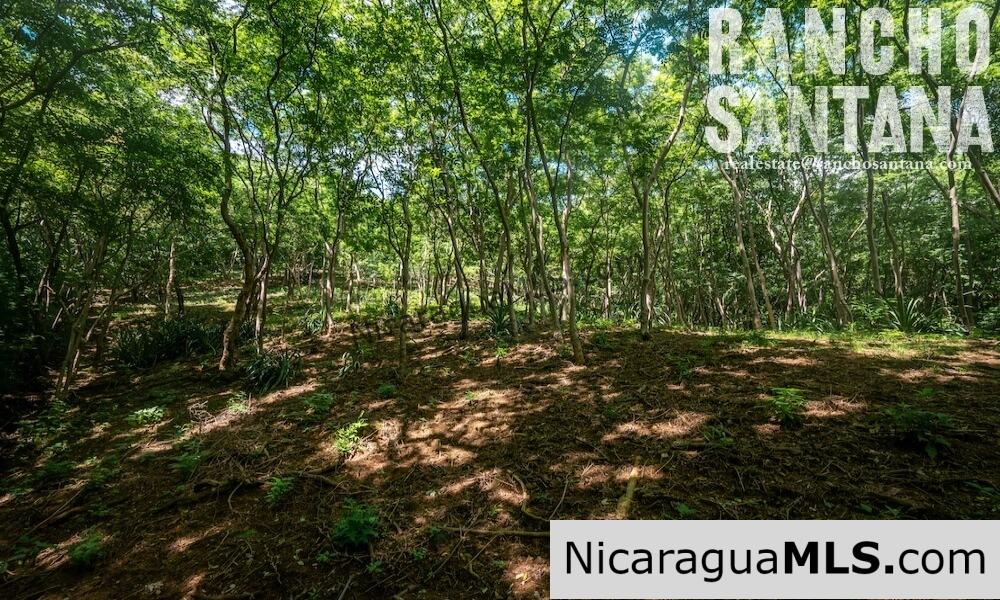 Lots in Los Perros neighborhood of Rancho Santana - Image 4