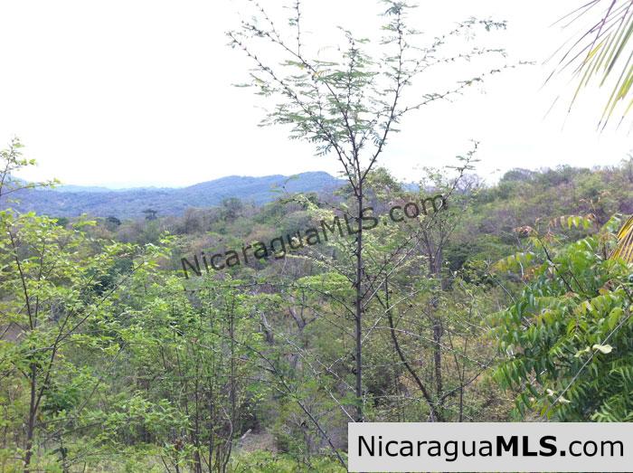 REDUCED! - Rancho Papayal Lot 37 - Image 5
