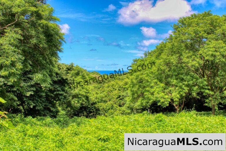 Price Reduced! Own Your Slice of Paradise at Rancho Papayal, San Juan del Sur