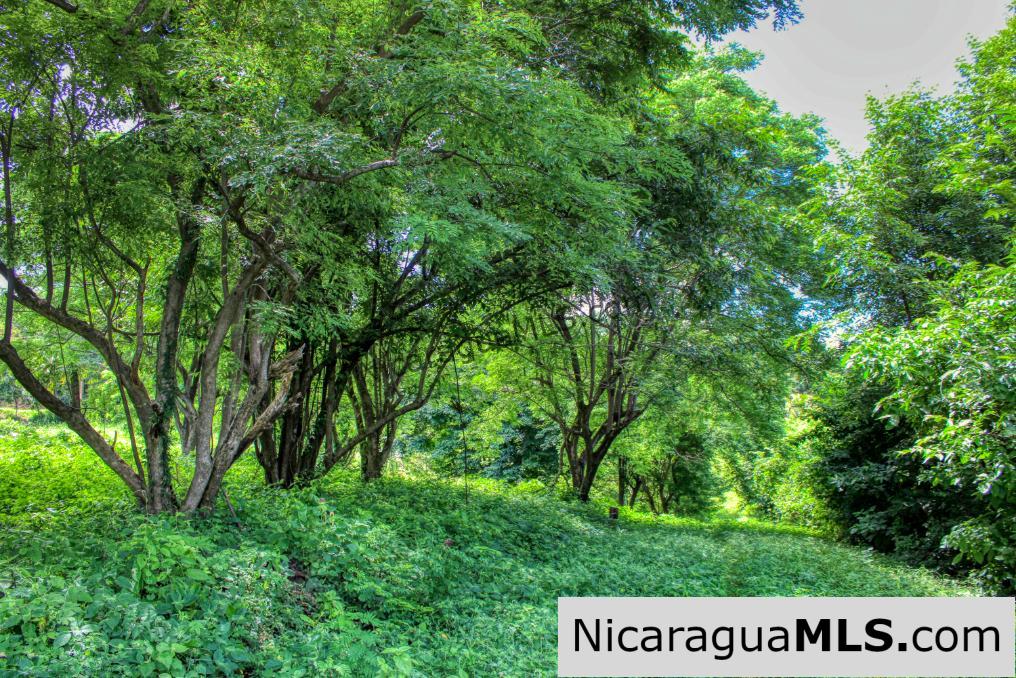 PENDING - Ocean views Rancho Papayal Lot 73 San Juan Del Sur - Image 10