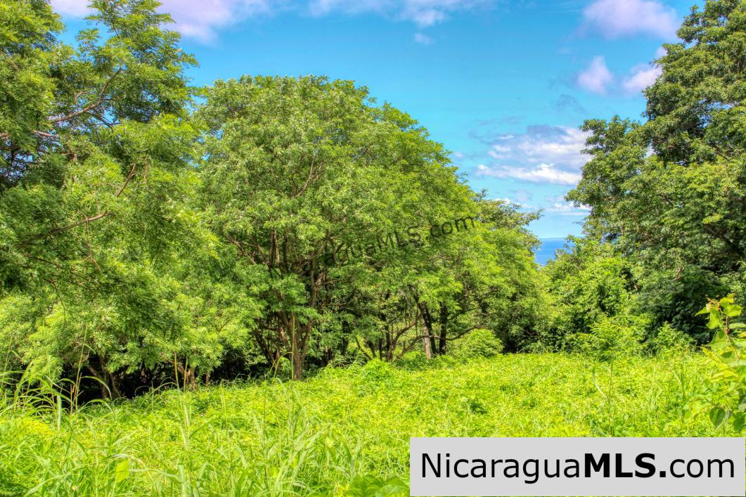 PENDING - Ocean views Rancho Papayal Lot 73 San Juan Del Sur - Image 3
