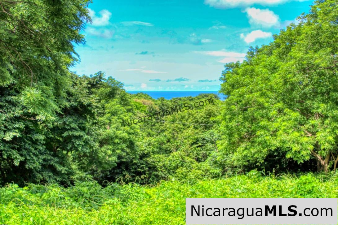 PENDING - Ocean views Rancho Papayal Lot 73 San Juan Del Sur - Image 4