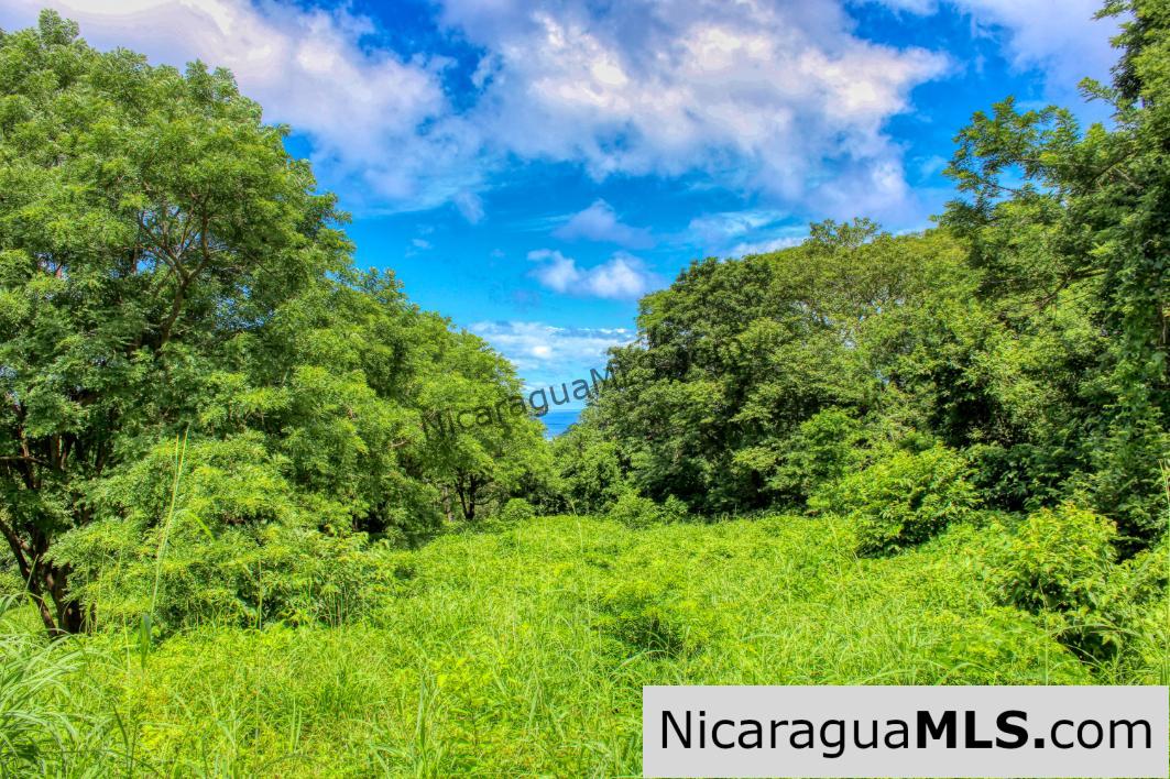 PENDING - Ocean views Rancho Papayal Lot 73 San Juan Del Sur - Image 5