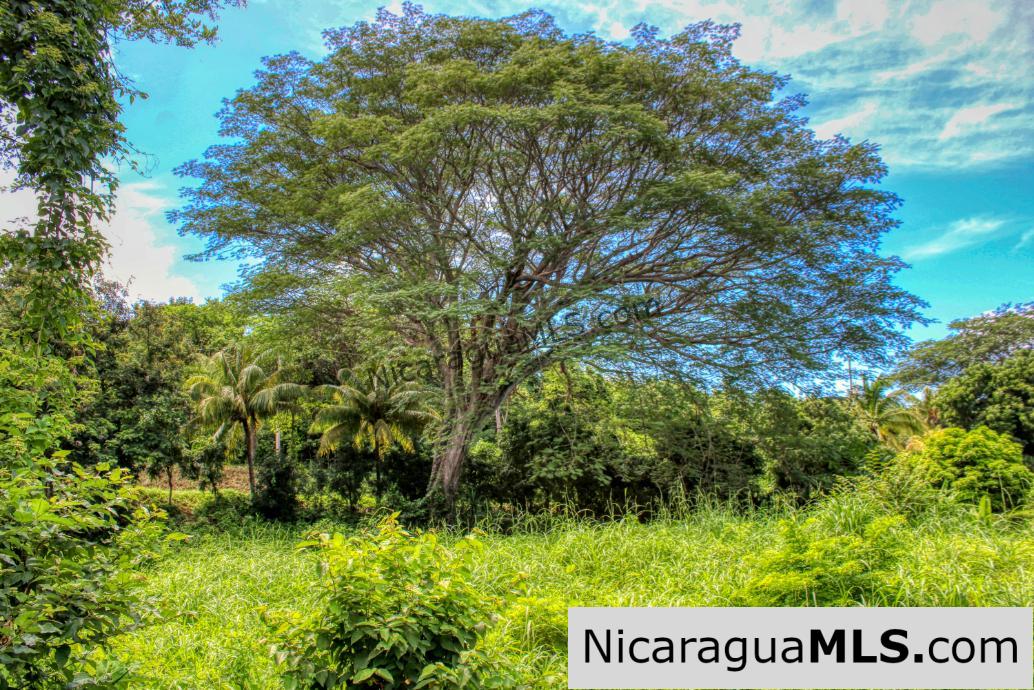 PENDING - Ocean views Rancho Papayal Lot 73 San Juan Del Sur - Image 16