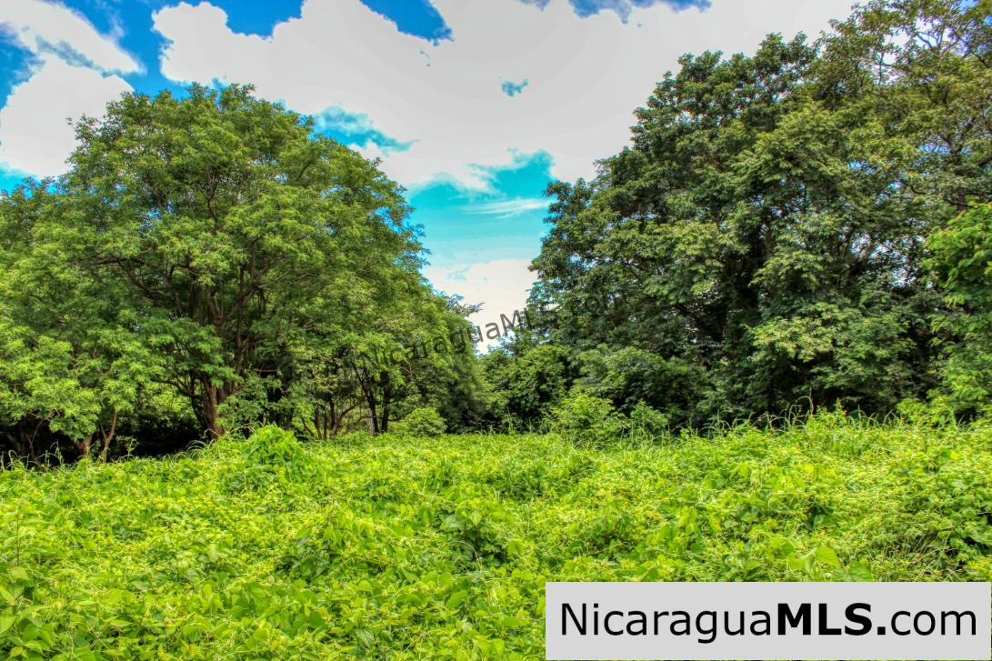 PENDING - Ocean views Rancho Papayal Lot 73 San Juan Del Sur - Image 7