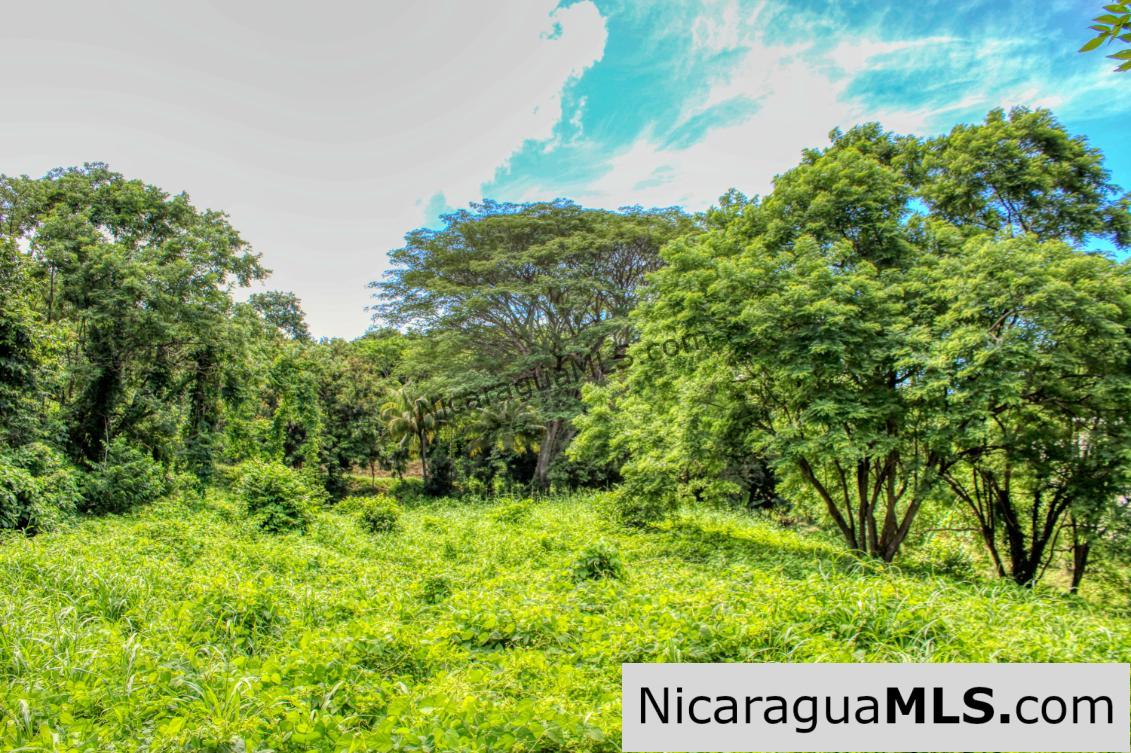PENDING - Ocean views Rancho Papayal Lot 73 San Juan Del Sur - Image 8