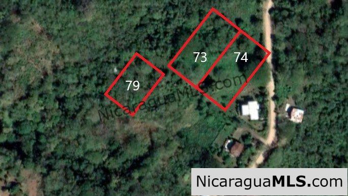 UNDER CONTRACT - Nestled in the trees minutes to beaches Rancho Papayal Lot 79 - Image 9