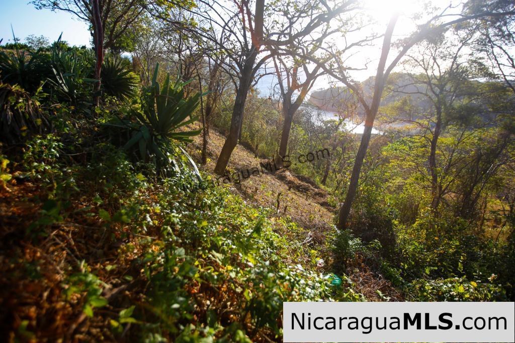 Paradise Bay Dual Lots for Sale - Image 10