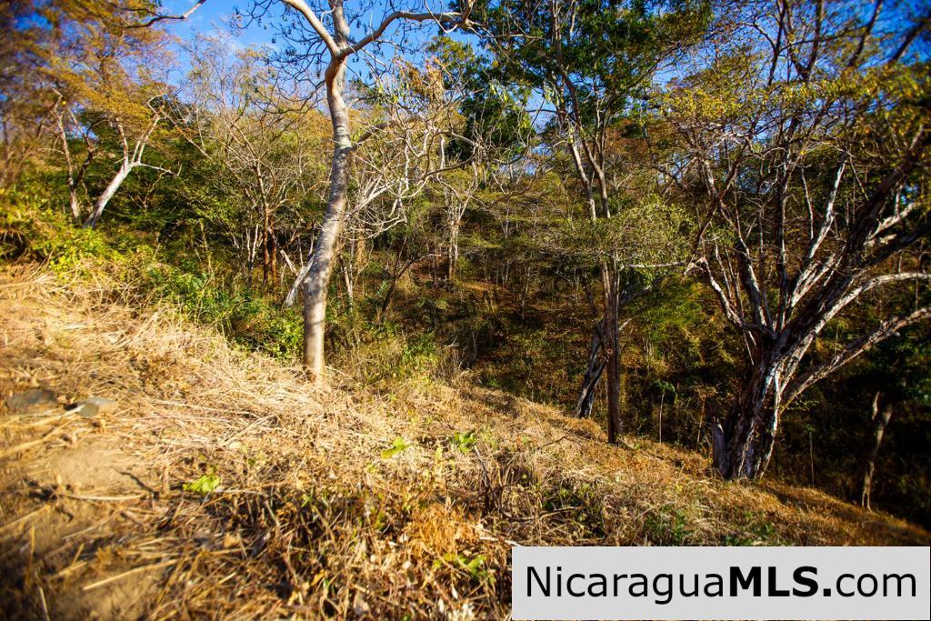 Paradise Bay Dual Lots for Sale - Image 3