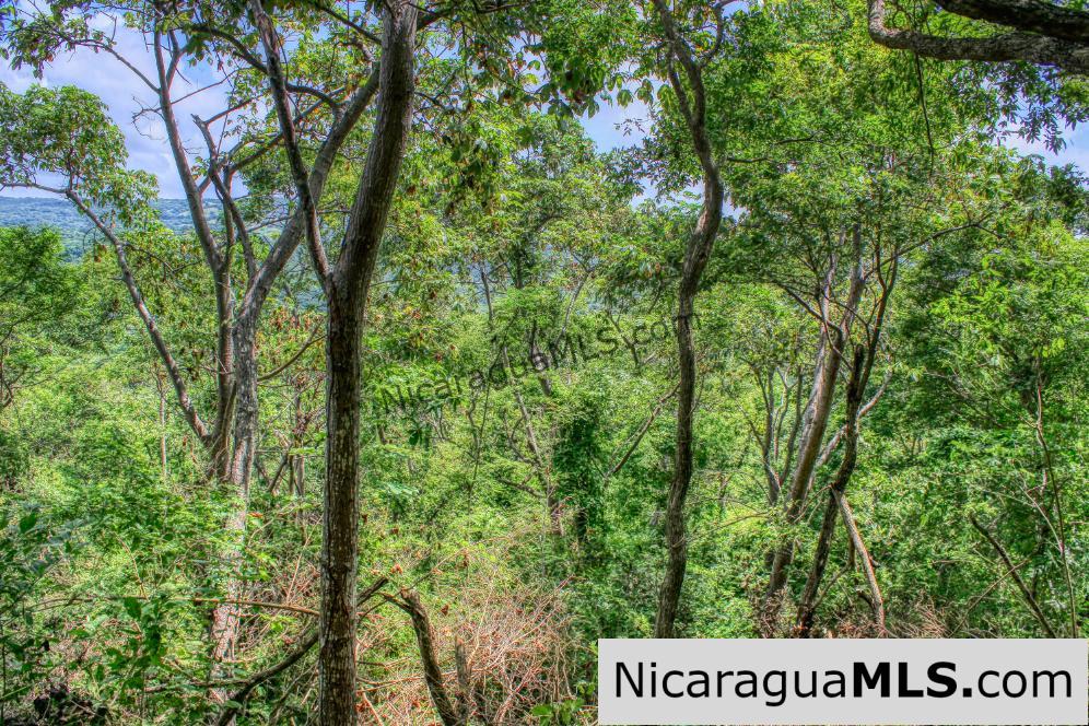Remanso Hills Forested Views - Image 9