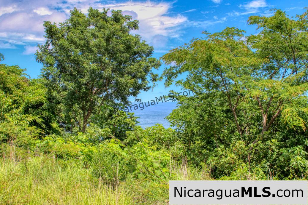 Playa Yankee Triple Ocean View Lot Near One Acre - Image 2