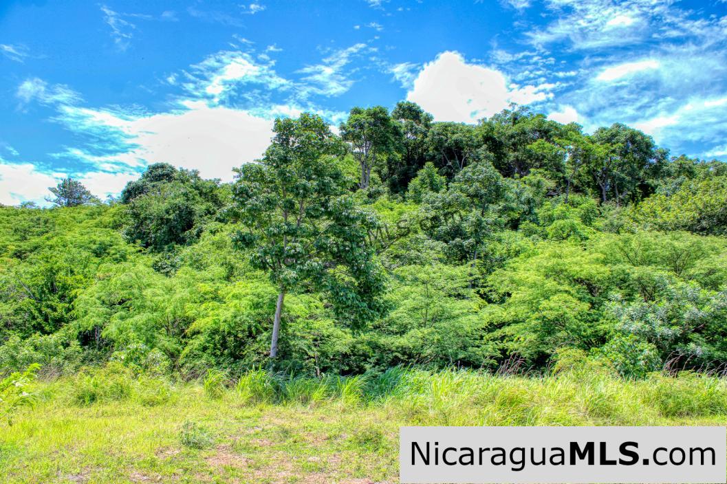 Playa Yankee Triple Ocean View Lot Near One Acre - Image 8