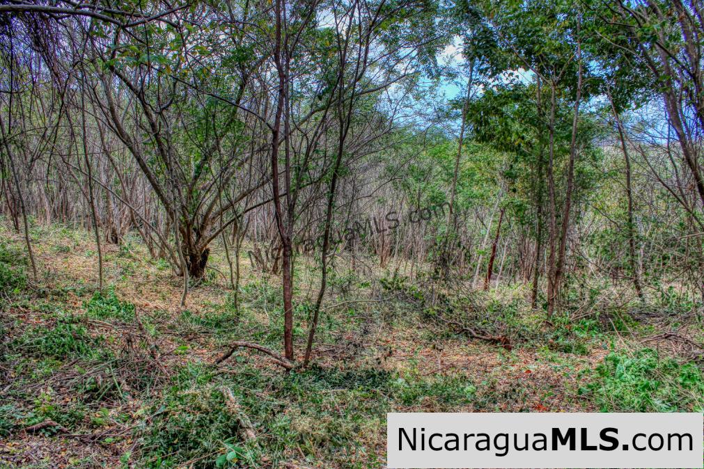 Ocean View with Rolling Acres offers Privacy in Arriba Verde - Image 8