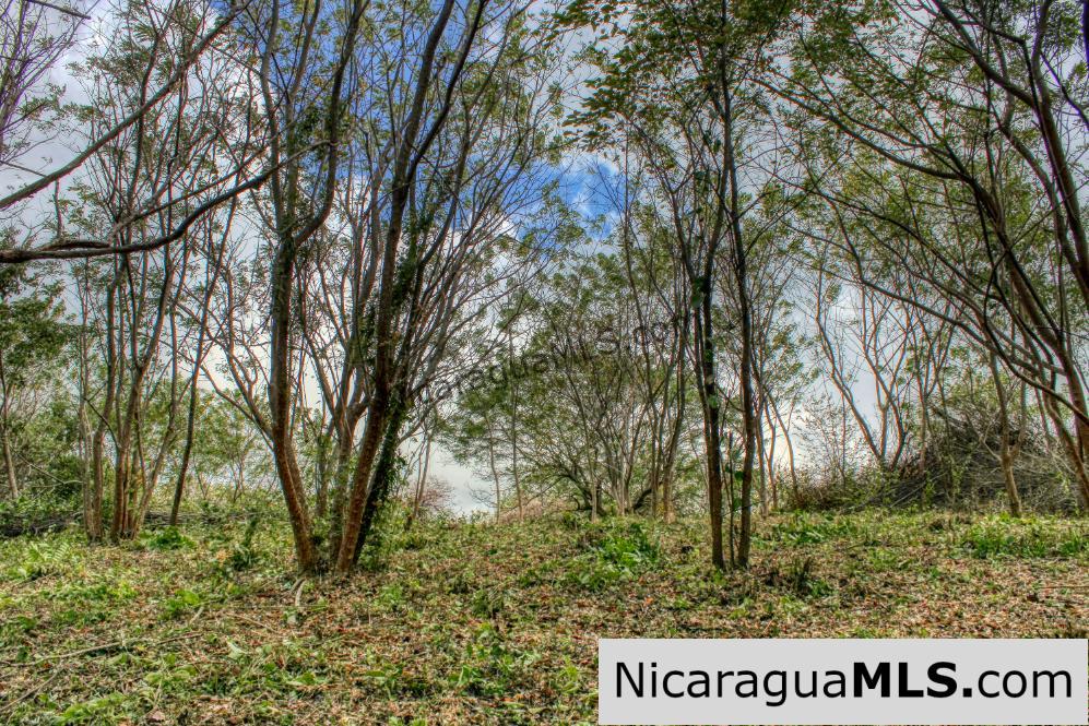 Ocean View with Rolling Acres offers Privacy in Arriba Verde - Image 9
