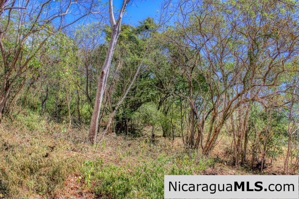 SOLD - Half Acre Lot Luxury Life Development Tree Casa FIRE SALE - Image 7