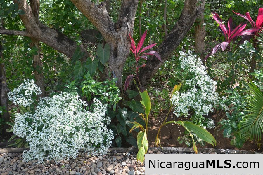Two Bedroom Townhome La Talanguera San Juan del Sur - Image 17