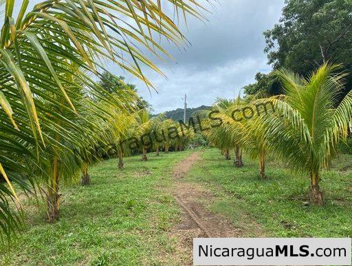 SOLD - Circle House Near Surf Ranch San Juan del Sur - Image 14