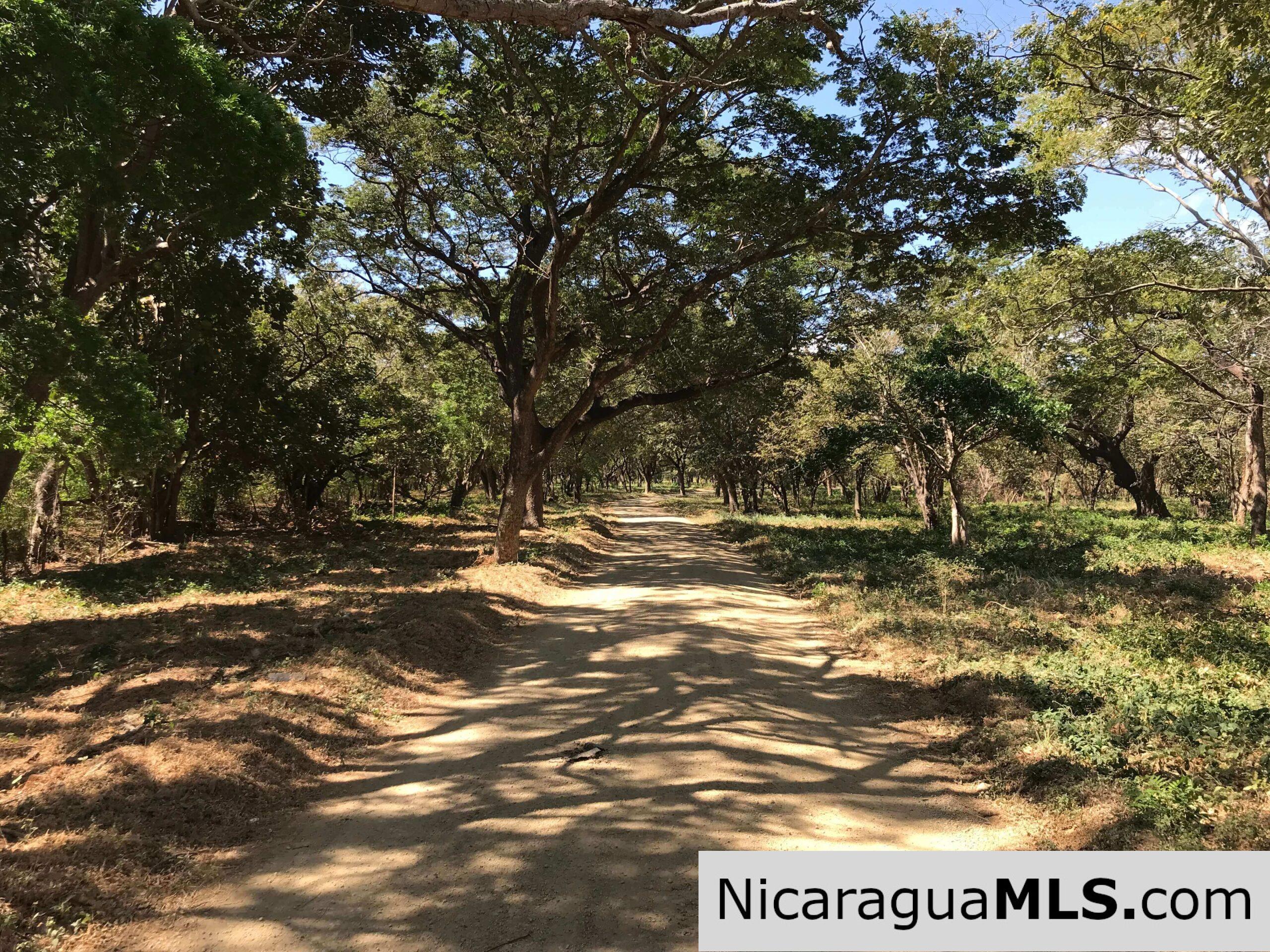 Lot in Bosques del Mar, Playa Marsella. - Image 9