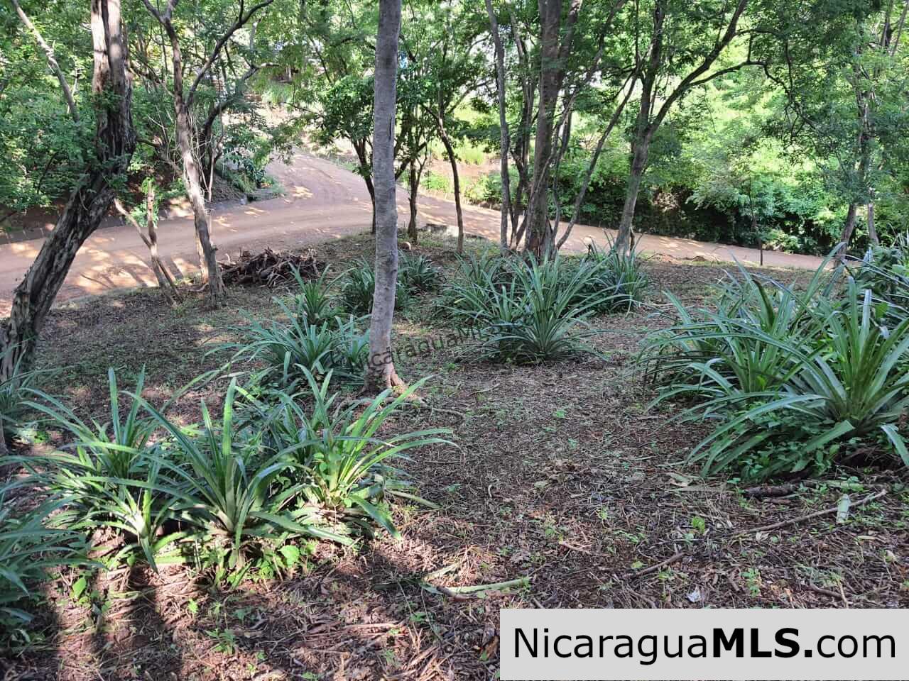 SOLD - Puerta del Mar Villa 5-C at Rancho Santana, Tola Nicaragua - Image 6