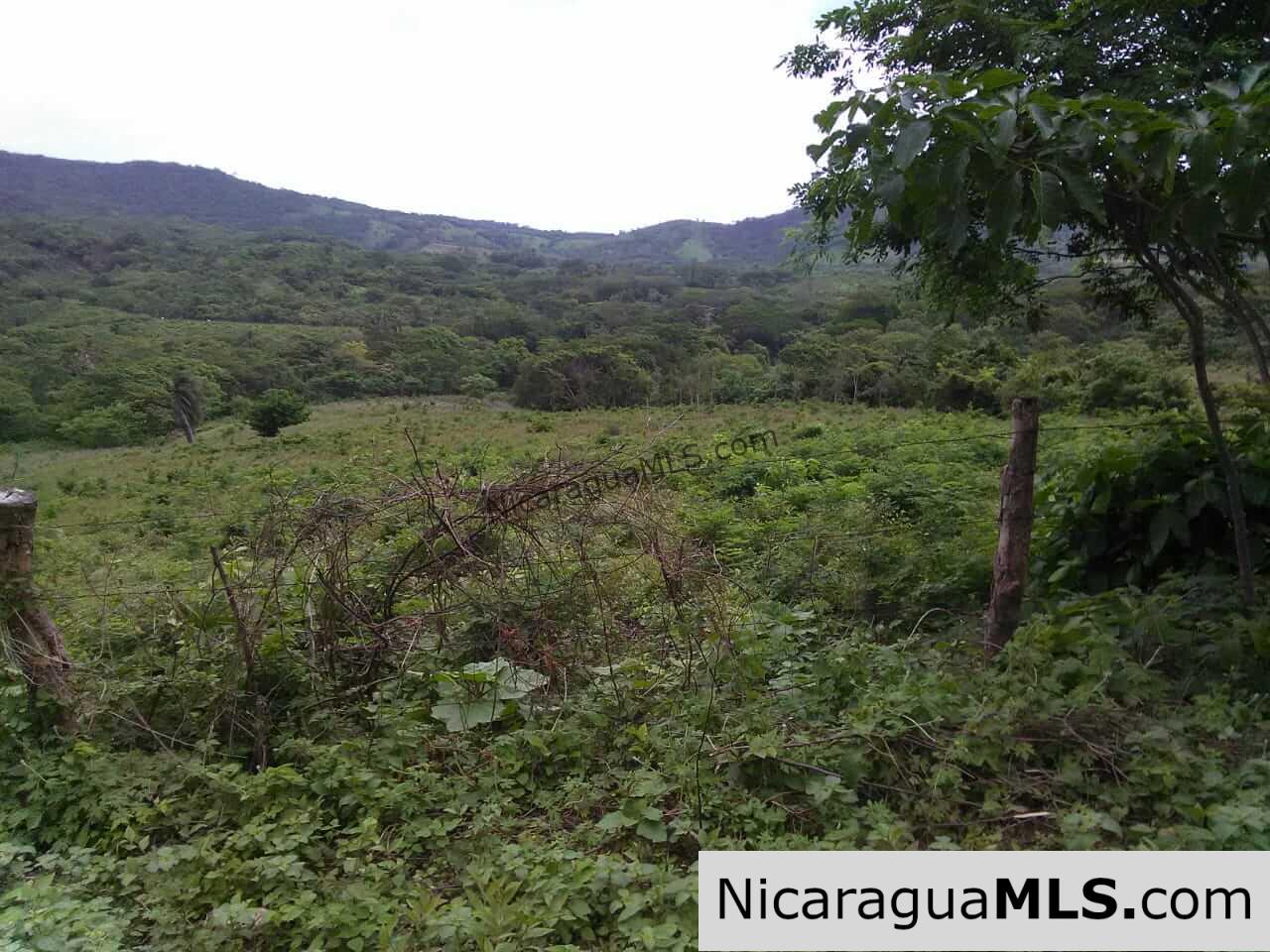580 acres in el Valle, San Juan del Sur - Image 11