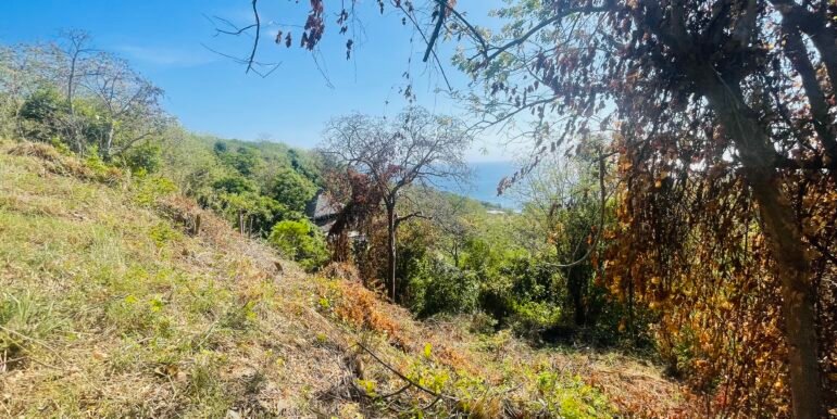 Paradise Bay Panoramic Ocean View 1/2+ Acre Lot