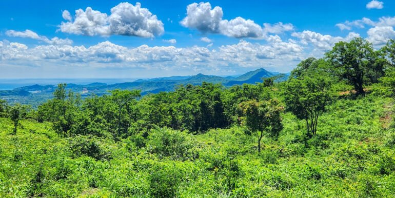 SOLD - 12 Acres Ocean View, Peaceful Hills!