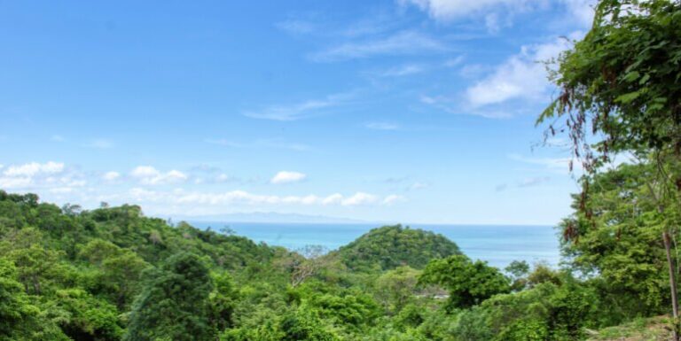 Price Drop Alert! Snag This Dream Ocean View Lot in Paradise Bay for Just $29K!