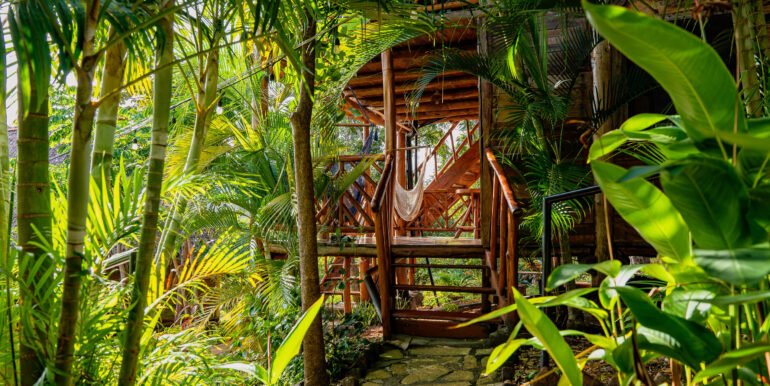 Eden on The Chocolata Road Eco-Lodge & Retreat Center - Image 2