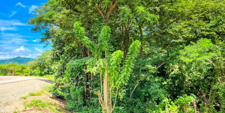 Road to Remanso: Future site of your commercial or residential project. - Image 2