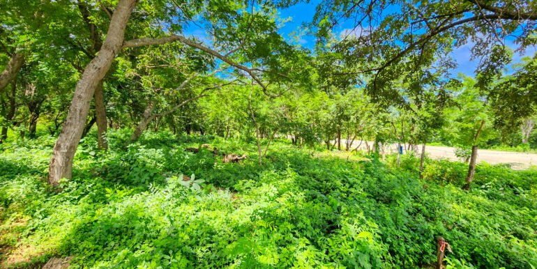 Prime Development Land, Remanso, on the New Coastal Highway - Image 3