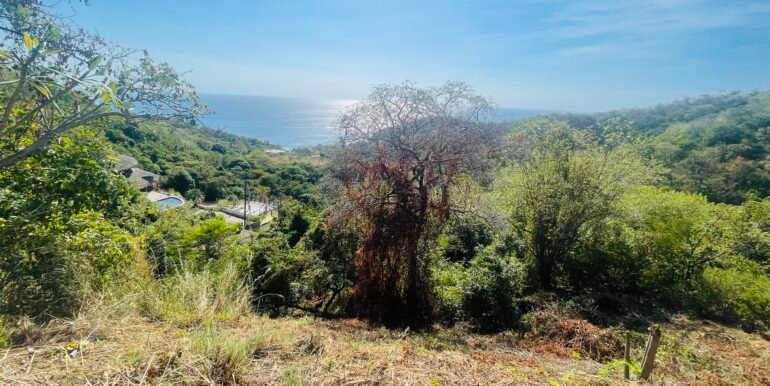 Paradise Bay Panoramic Ocean View 1/2+ Acre Lot - Image 5