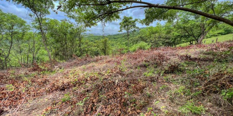 Natural Paradise Views @ Arriba Verde Lot 29 - Image 5