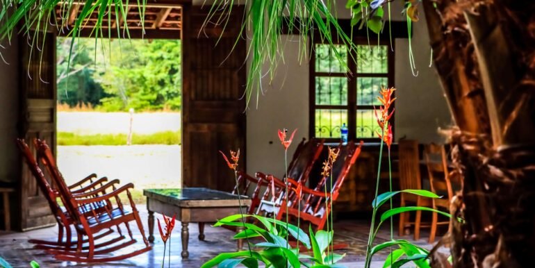 Traditional Spanish Hacienda set on 5 acres - Image 5