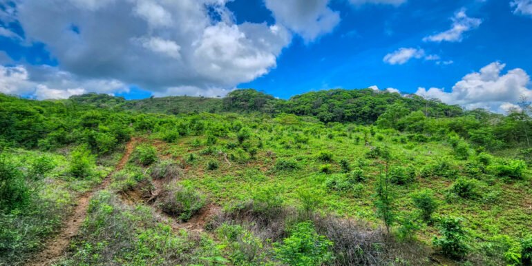 SOLD - 12 Acres Ocean View, Peaceful Hills! - Image 5