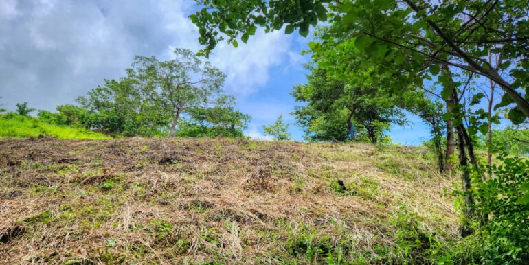 Ocean View Vacant Lot in Villas Oro Lot 12 - Image 5
