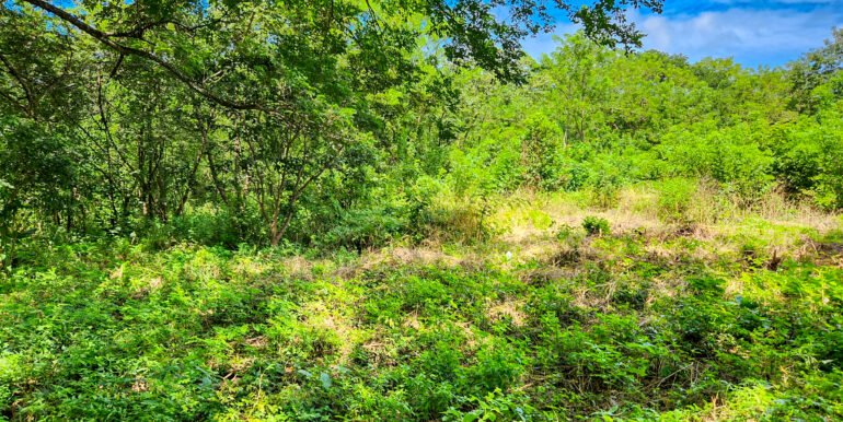 Road to Remanso: Future site of your commercial or residential project. - Image 6