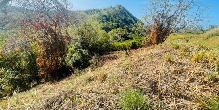 Paradise Bay Panoramic Ocean View 1/2+ Acre Lot - Image 7