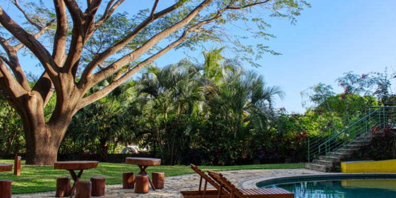 New Release, New Phase at La Talanguerita! - Image 9