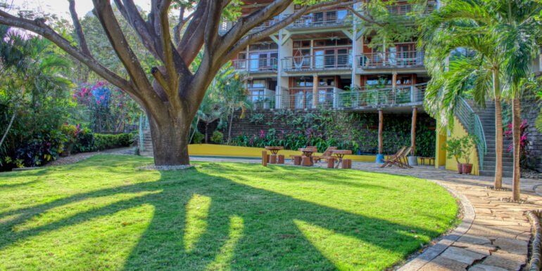 New Release, New Phase at La Talanguerita! - Image 10