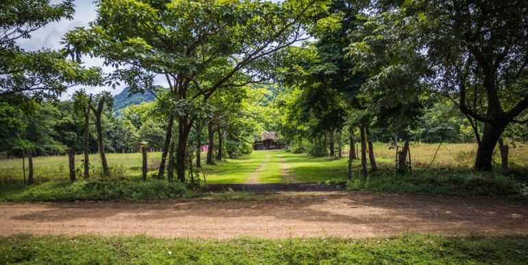 Traditional Spanish Hacienda set on 5 acres - Image 10
