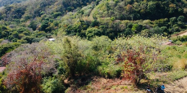 Paradise Bay Panoramic Ocean View 1/2+ Acre Lot - Image 10
