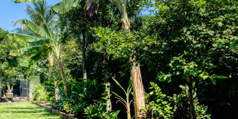 A Home, 100+ Fruit Trees, PLUS a profitable Ukulele Business? - Image 12