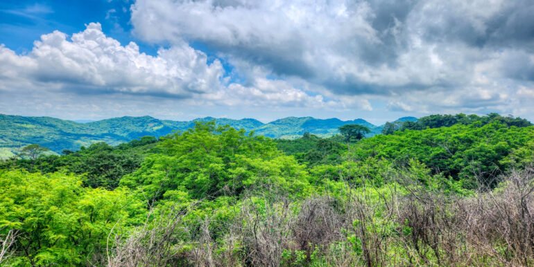 SOLD - 12 Acres Ocean View, Peaceful Hills! - Image 12