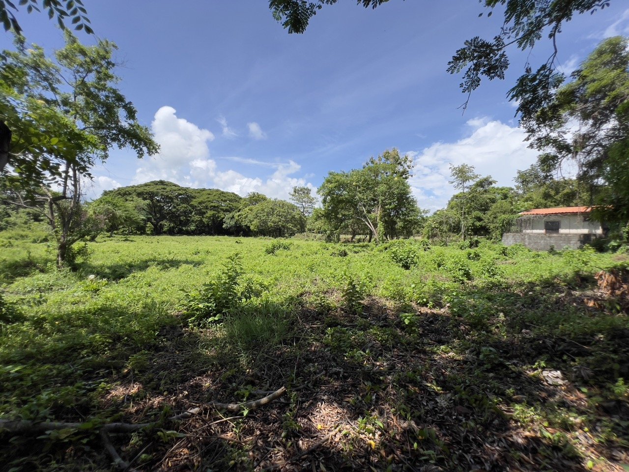 Pan American Highway Commercial Land - Just Outside Rivas - Image 22
